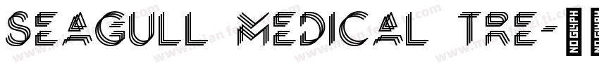 Seagull medical tre字体转换